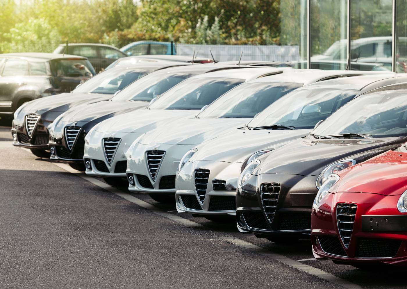 A row of clean modern cars